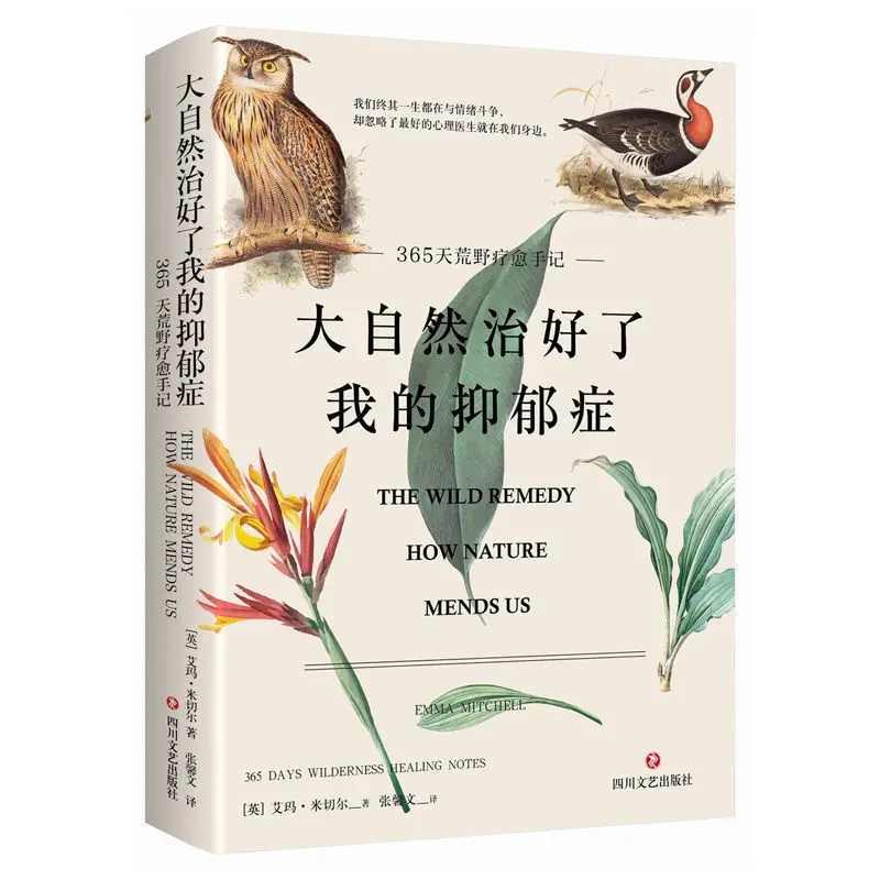 Рисунок 2 - Естественное восстановление моей депрессии