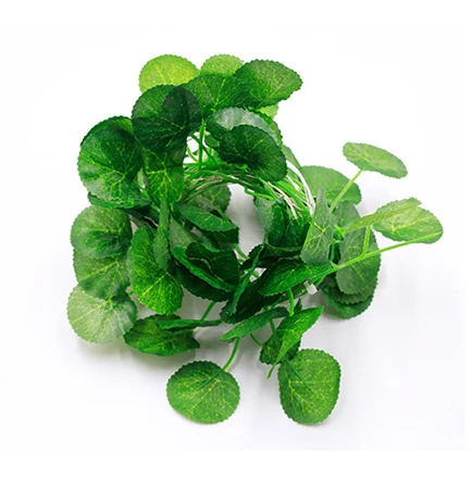 Leaf D