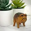 Cute African Rain Frog Decor Funny Toad Model Creative Animal Figurine Office Desktop Ornament Resin Craft Toys 3