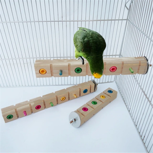 Jumbo Plastic Beads - 25 Pack - Bird Toy Parts for Parrot Toys - Safe for  Cockatiels, Conures, etc.