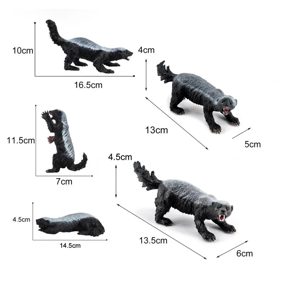 Honey Badger Figurine Realistic Simulation Wild Animal PVC Miniature Honey Badger Educational Toy for Kids 6