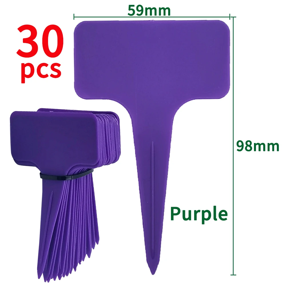 Purple-30pcs