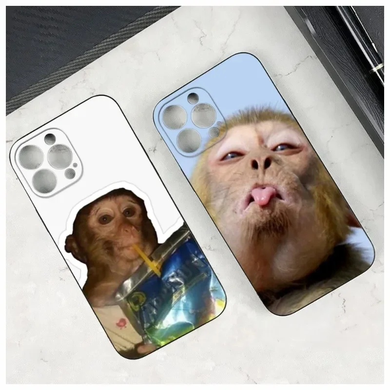 Monkey Sighting Caprisun Meme Custodia Per Telefono Per Iphone 15 14 12 11 13 Pro Max Mini X Xr Xs 7 8 Max Se 2020 Cover Morbida Per Telefono