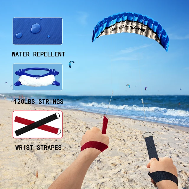High Quality 2.5m Dual Line Parafoil Kite With Handle And Line  Power Braid Sailing Kitesurf Rainbow Sports Beach For Adults 2
