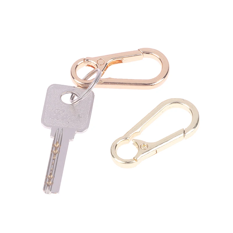 2Pcs/set Metal Keychain Clasp Hook Carabiner Keyring Snap Buckle Lanyard  Jewelry DIY Bag Accessories - AliExpress