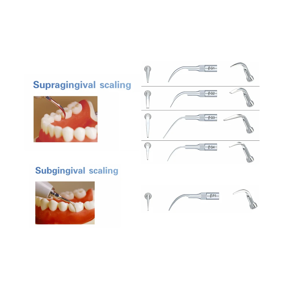 5pcs Woodpecker DTE Dental Ultrasonic Scaler Tips Scaling Endo Tip Dentistry Instruments Medical Accessories Fit EMS Satelec