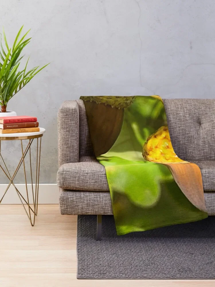 ������ ���丮 ������ ���, ���Ŀ� ���� ���� ���