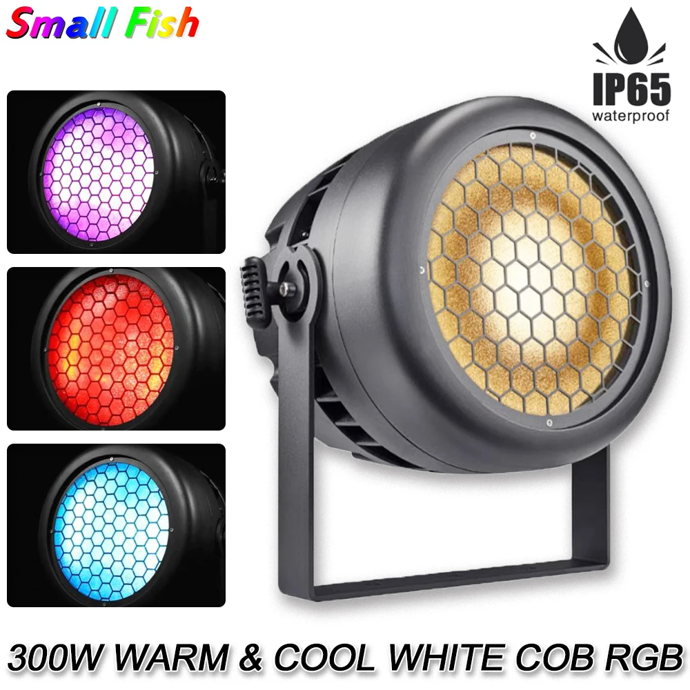 LED 300w Warm & Cood White COB 8x10w RGB SMD Strom Eye DMX Strobe Waterproof IP65 RDM Wall Wash Lighting Outdoor Par Stage Lamp