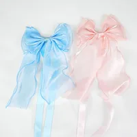 2 attaches de rideau en maille brillante avec nœud, sans perçage, style français, pour décoration intérieure, cordes décoratives pour rideaux 2