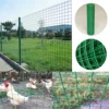 Welded Galvanized PVC Coated Fence Wire Mesh for Chicken Coop Screens 2