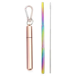 Reusable Telescopic Stainless Steel Straw Set with Cleaning Brush and Carry Case (Gold - color)