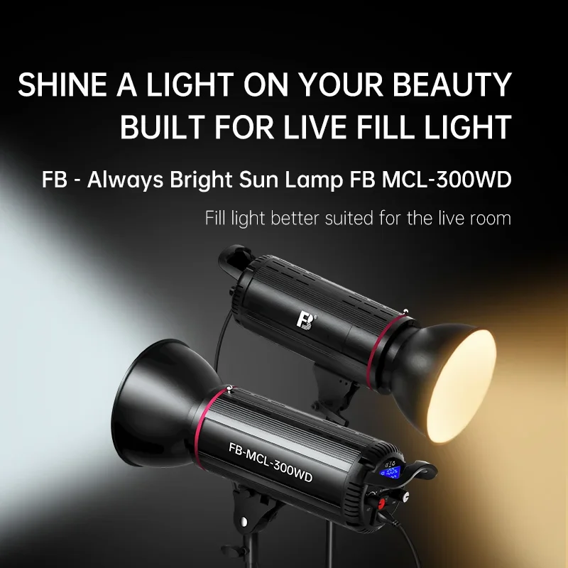 FB 300W 사진 LED 비디오 조명, 일광 균형 태양 램프, 소프트박스 조명, 인물 플래시 스튜디오 액세서리