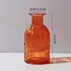 Nordic Modern Ins Style Creative Hydroponic Transparent Glass Vase Living Dining Room Desktop Decor Personalized Art Ornament 6