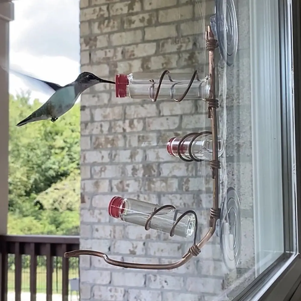 Creative Window Glass Decoration Suction Cup Bird Feeder Hummingbird Feeder Sweet Feeders bird feeder pet water feeder