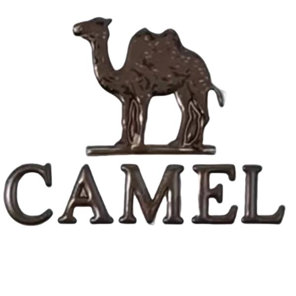 Camel Specialty Store Store