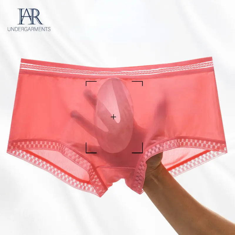 3d Lace Underwear Men's Summer New Translucent Ice Silk Boxer One Piece