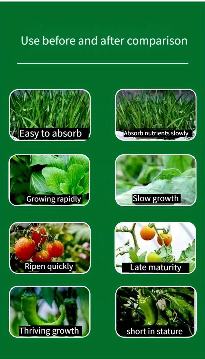 Description Picture 4 of itemVegetable fruit tree organic flower fertilizer pot plants to supplement nitrogen, phosphorus and potassium particle fertilizer