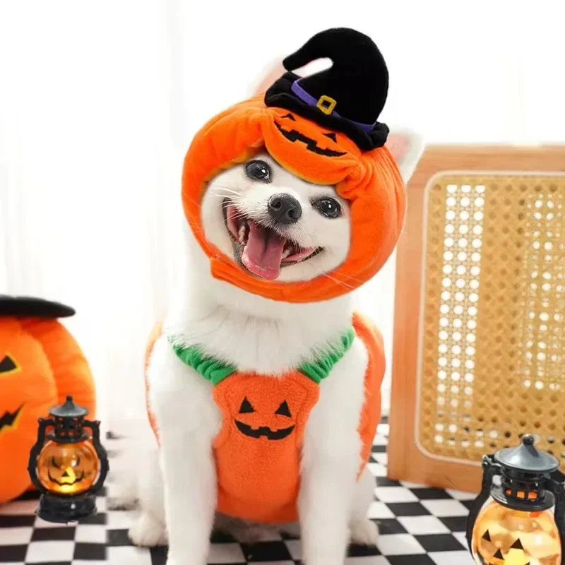 Halloween Dog Costumes Funny Pumpkin Lantern Transformation Outfit Halloween Dog Cat Two Legged Pet Cute Pumpkin Hat Jacket pet dress pet clothes