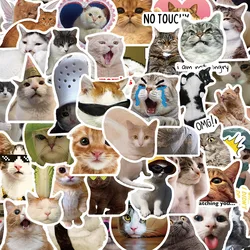 10/30/50PCS New DIY Cat Cartoon Personality Creative Computer Suitcase Helmet Water Cup Car Chair Decoration Waterproof Sticker
