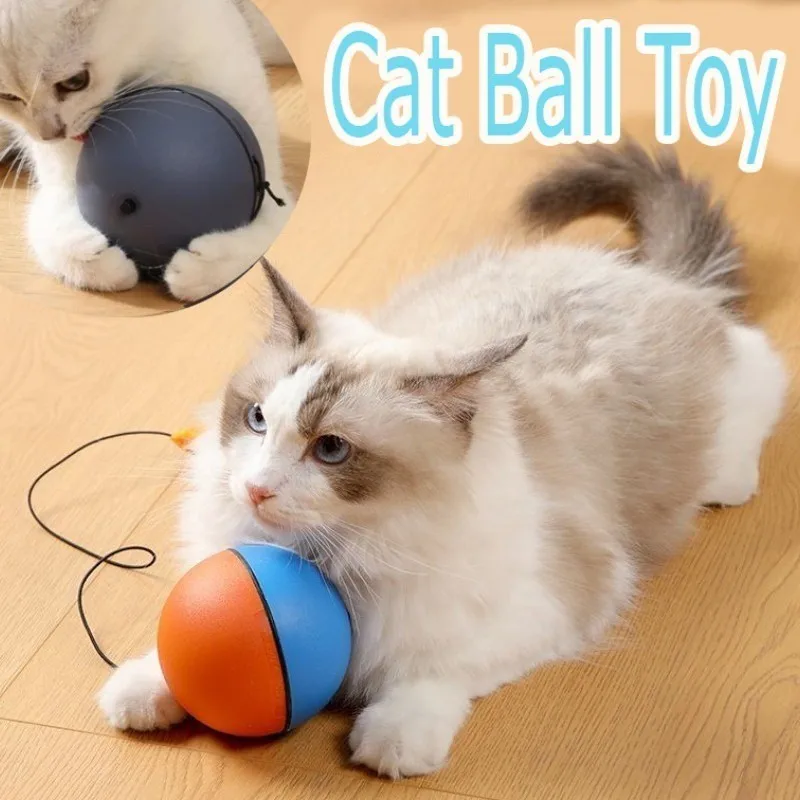 Electric Interactive Cat Ball 1
