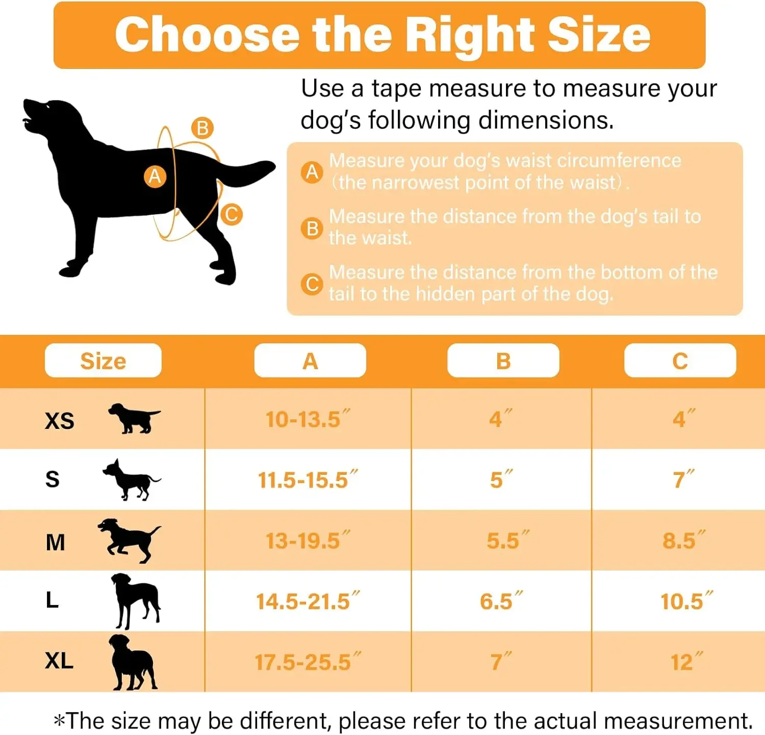Washable Dog Diapers for Puppy Female in Period & Incontinence, Reusable Sanitary Panties - Small/Medium/Large Dogs - 5