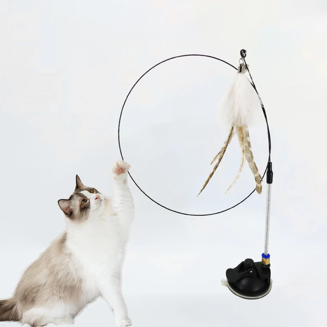 Cat Teaser Wand 35 Long Wire with Feathered and Bells Cat Toy with Suction  Cup