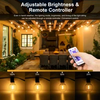 Guirxiété Lumineuse Solaire G40. Lumières Extérieures avec Ampoules LED Incassables, Résistantes aux Intempéries pour BCURd'Arrière-Cour 3