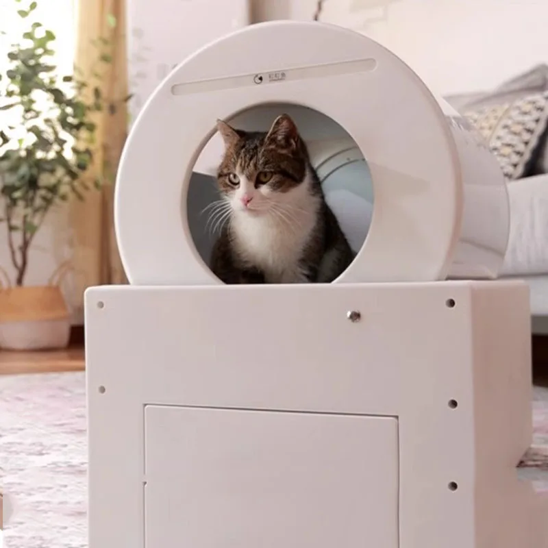 Smart Automatic Cat Padelle Scratcher Training Kit Forniture Pala Da Bagno Cat Toilet Bed Letiera Gatto Kitten Accessories