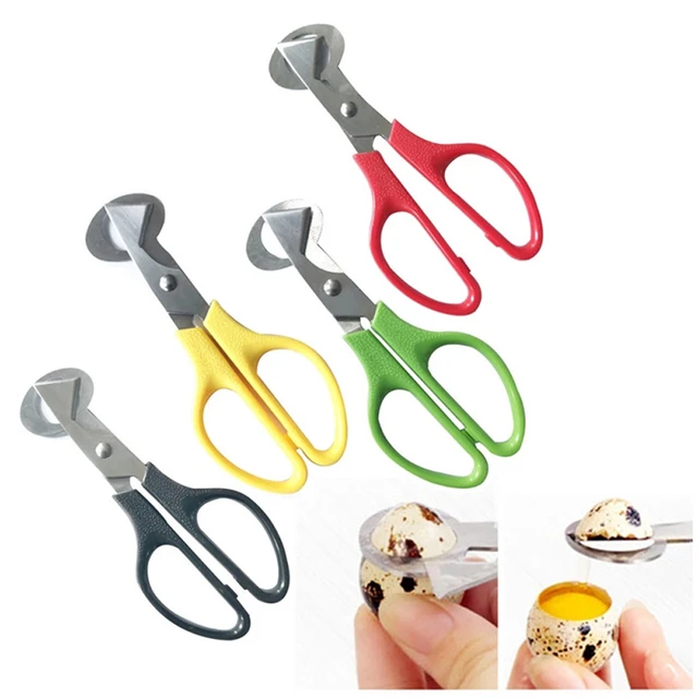 Tijeras para huevos de codorniz de 20 piezas, cortadores de huevos de acero  inoxidable, abridor de huevos, utensilios de cáscara de huevo para Cocina -  AliExpress