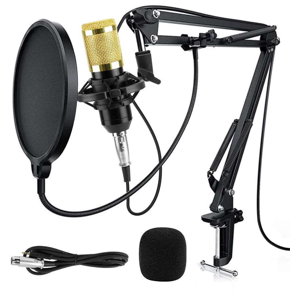 BM 800コンデンサーマイクキット,スタジオレコーディング,マイク