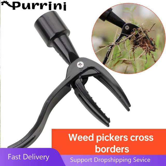 1-5PCS Claw Foot Pedal Weed Puller Weeding Head Replacement Stand Up  Gardening Digging Weeder Lawn Grass Root Remover R7A5 - AliExpress