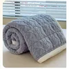 Winter Thicken Mattress Pad Soft Warm Plush Cozy Velvet Fitted Sheet Double Bedspread Bed Linens for Household Bedroom Decor 5