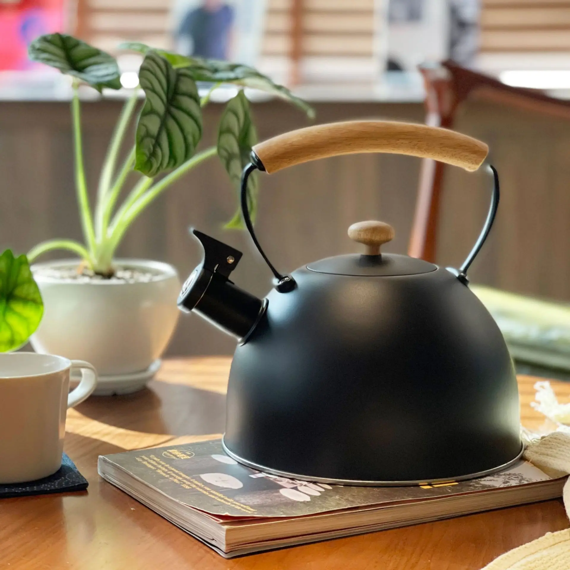 https://ae01.alicdn.com/kf/S734c98cee1ff4046bebc197eede031day/New-Arrival-Black-Whistle-Gas-Stove-Water-Kettle-With-Wooden-Handle-European-Style-Household-Induction-Cooker.jpg