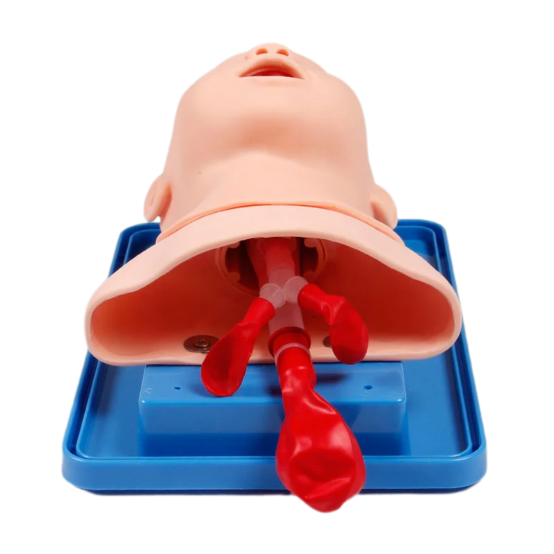 Neonatal Infant Tracheal Intubation Model Analog Double Lung and Stomach Expansion Child Tracheal Intubation Simulator neonatal tracheal intubation model