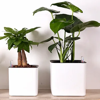 Modern Self Watering Planter 1