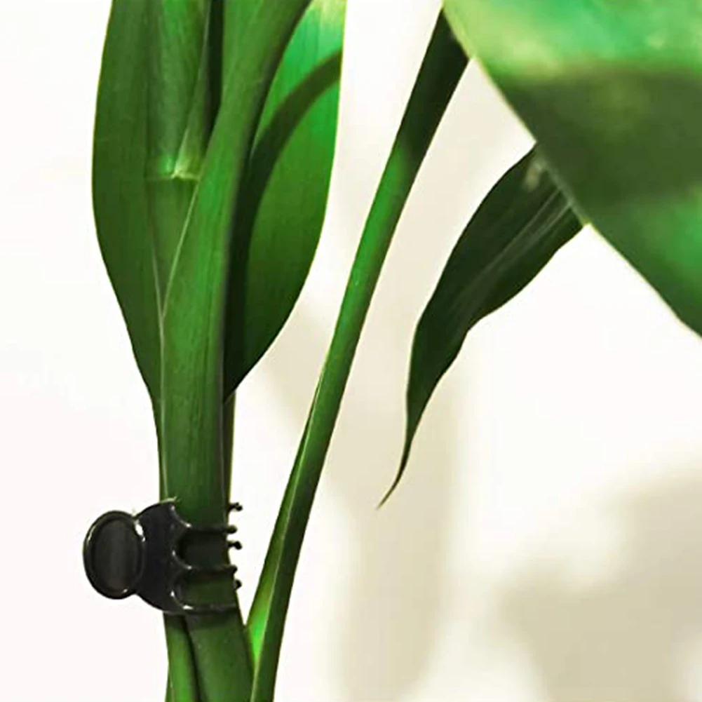 

Vine Fixing Clip Plant Support Clips Orchid Clip 20Pcs Gardening Phalaenopsis Orchid Plant Support Vegetables Flower Tied Clamp