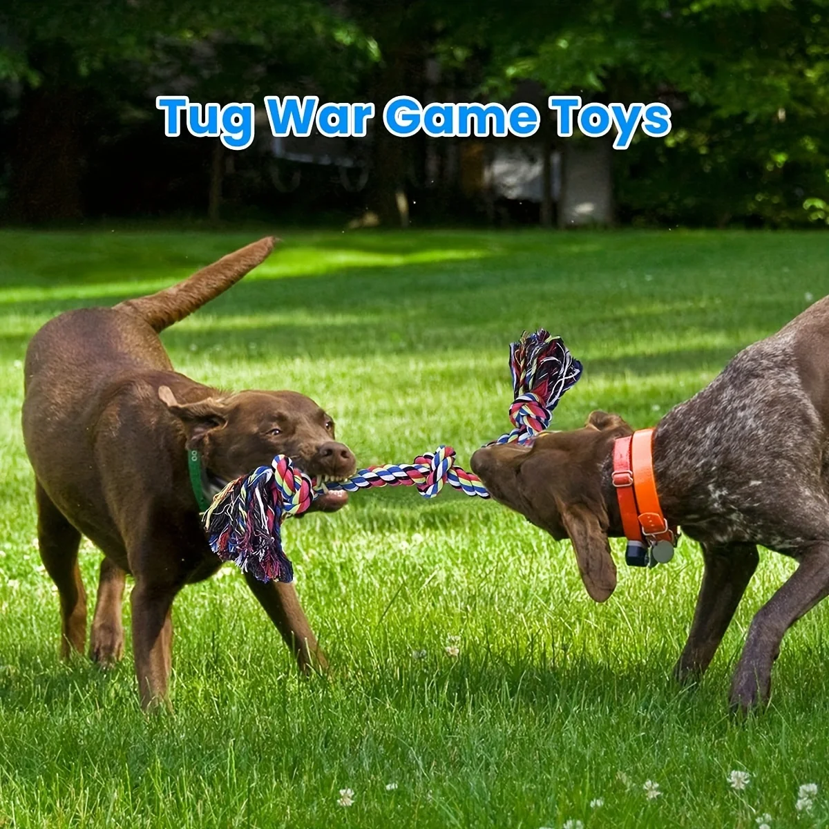 2Pcs Heavy-Duty Rope Knot Dog Toys for Large Breeds – Dental Health Chew & Interactive Tug of War Play 60cm 48cm 2