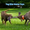 2Pcs Heavy-Duty Rope Knot Dog Toys for Large Breeds – Dental Health Chew & Interactive Tug of War Play 60cm 48cm 2