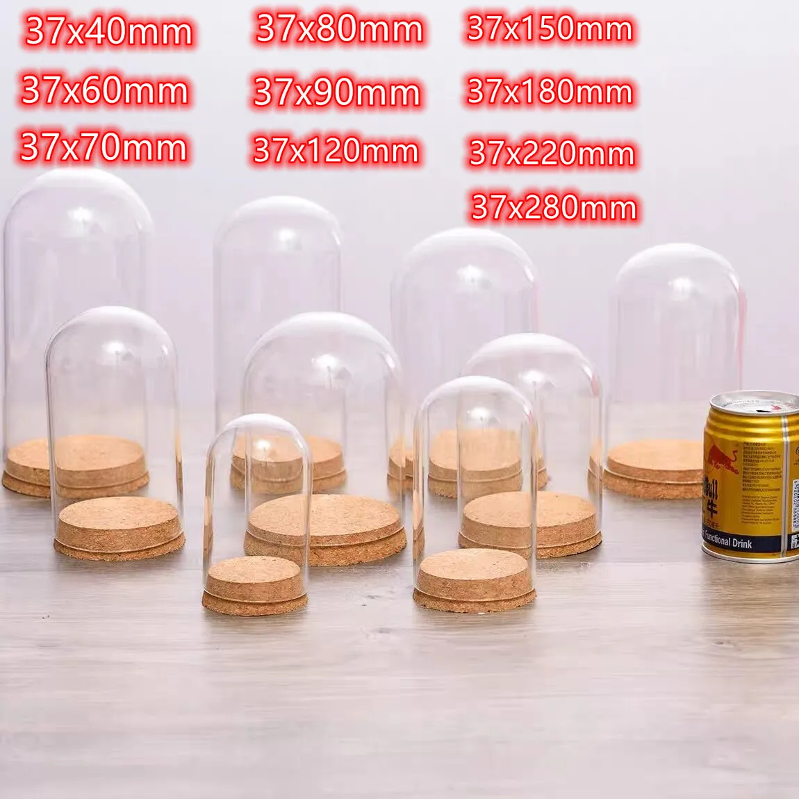 1X Mix Size Micro Landscape Eternal Transparent Flower Glass Cover DLY Cover Glass Dome On Cork Base Home Office Table Decor