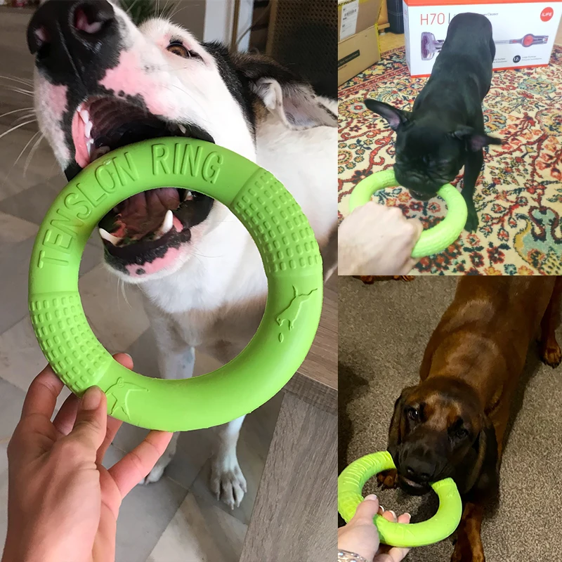 Dog Training Toys, Outdoor Floating Flying Disc Ring Interactive Play Tool,  Suitable For Pet Training Outdoor Chew Toys - Temu