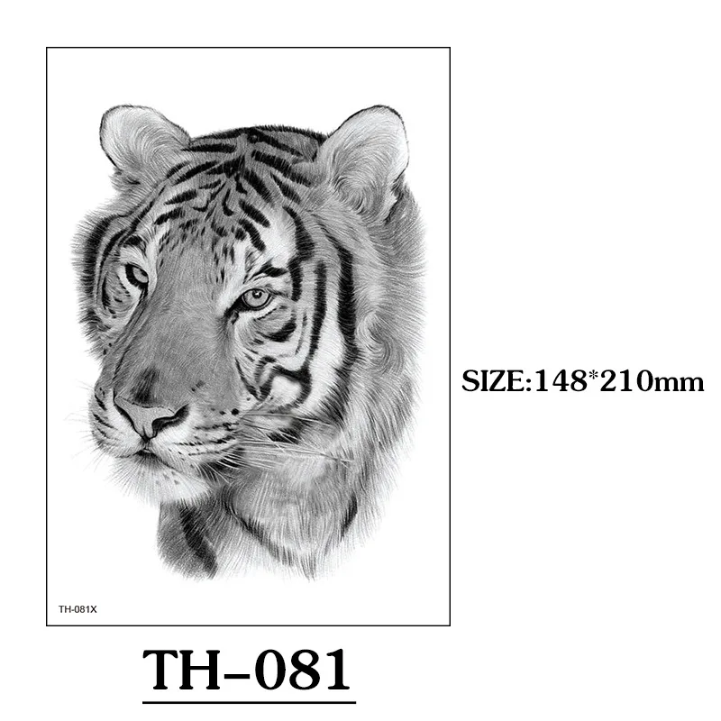 TH-081