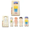 Montessori Wooden Multi-layer Puzzle Human Body Jigsaw Game Boys Girls Body Structure Early Educational Toys For Children Kids 2