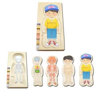 Montessori Wooden Multi-layer Puzzle Human Body Jigsaw Game Boys Girls Body Structure Early Educational Toys For Children Kids 2