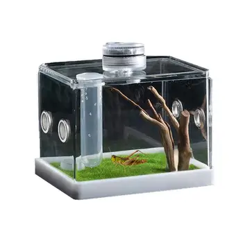 Reptile, Fish and Spider Breeding Box 1