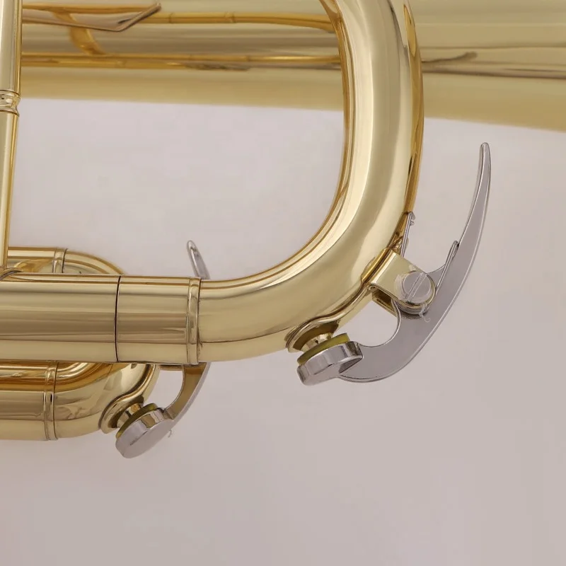 Factory Price JinBao TR-300 Yellow Brass Bb Key Standard Practice Trumpet