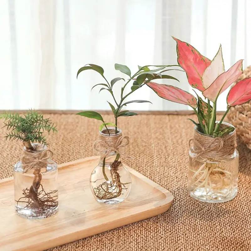 

1pc Transparent Flower Pot Hydroponic Green Dill Plastic Flower Pot Simple Flowerpot