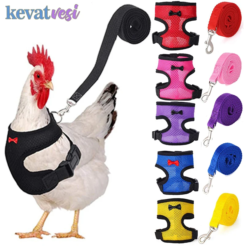 Adjustable Chicken vest Harness Breathable mesh Hen Harness Matching Collars Training Walking Duck Goose chicken accessories chicken harness