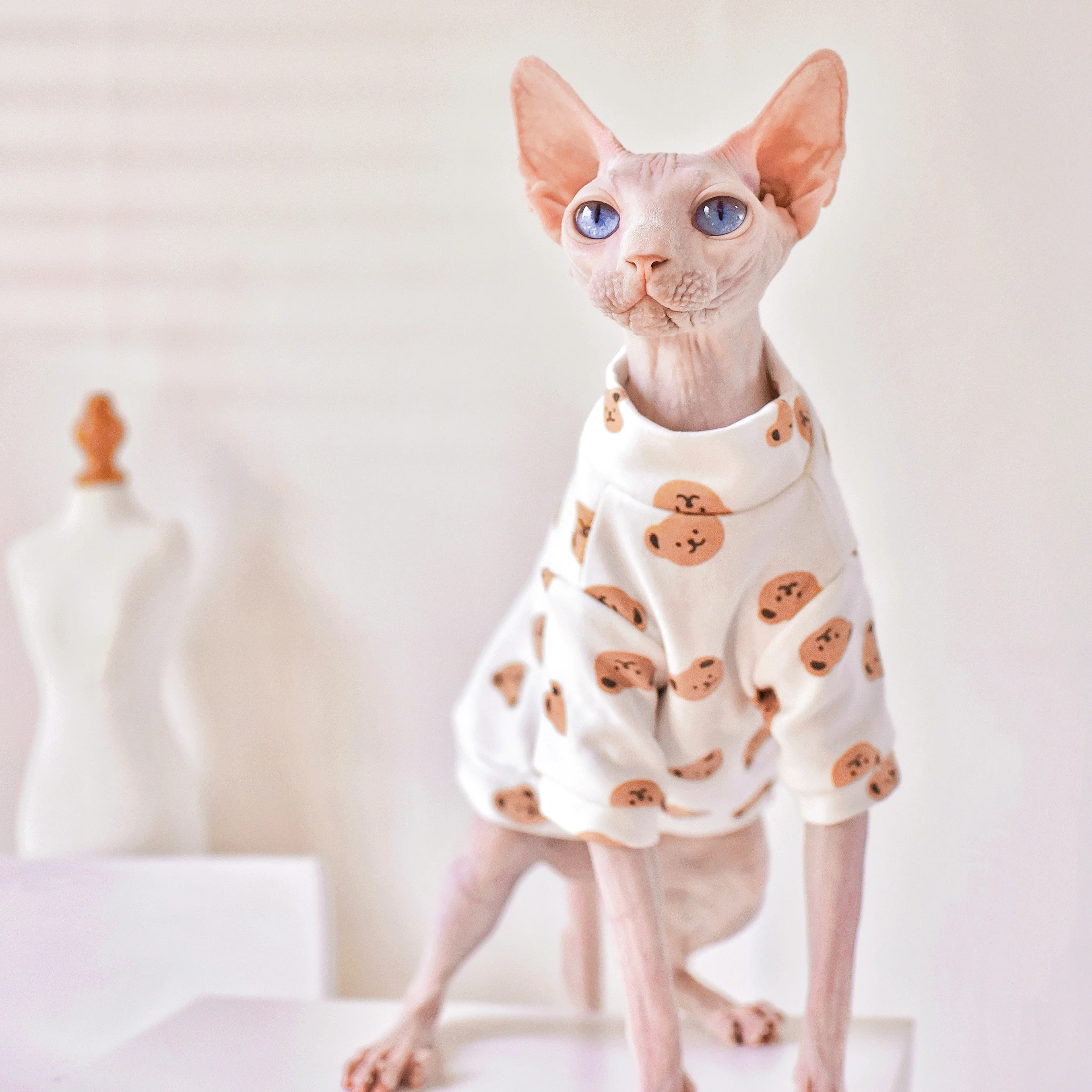 sphynx clothes for cats