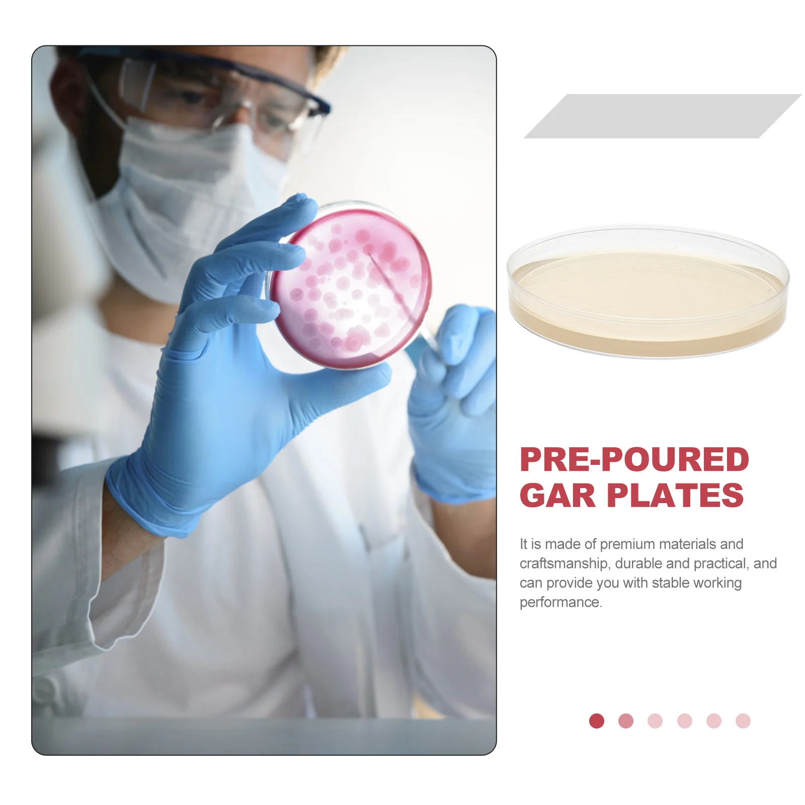 10pcs Pre-Poured Agar Plates Labs Petri Dishes with Agar General Growth /Medium Laboratory Plants Cell Tissue Petri Dishes