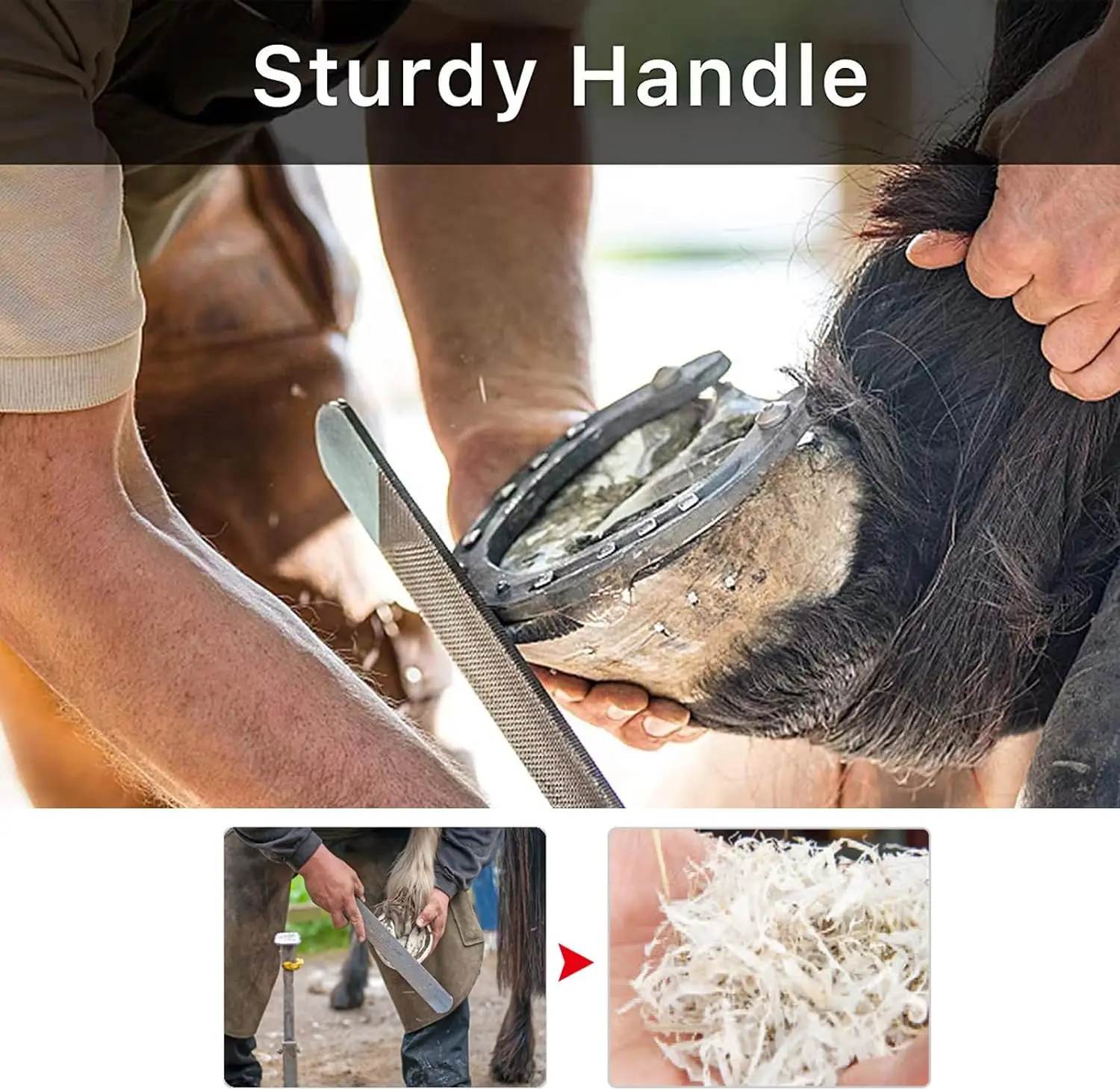 Goat hoof trimmer with mini horseshoe file (8 inches, approximately 20.3 centimeters) - nail clippers for goats, sheep, alpacas, 5